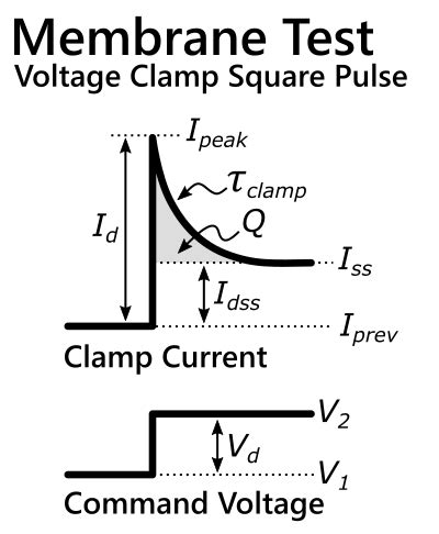 patch clamp membrane test instructions